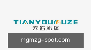美高梅中国