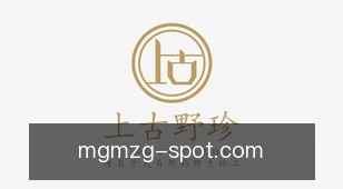 美高梅中国