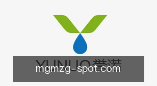 美高梅中国