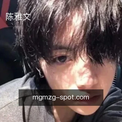 陈雅文